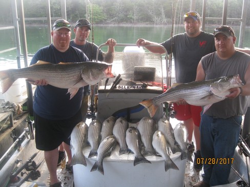 Nice Striped Bass